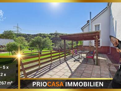 Mehrfamilienhaus zum Kauf 559.000 € 10 Zimmer 267 m² 11.000 m² Grundstück Giesdorf 54614