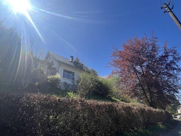 Einfamilienhaus zum Kauf provisionsfrei 490.000 € 6 Zimmer 105 m² 6.360 m² Grundstück Schönau Bad Münstereifel 53902