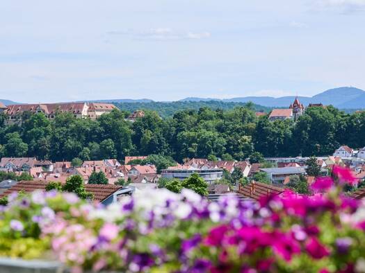 Mehrfamilienhaus zum Kauf 2.380.000 € 12 Zimmer 355,5 m² 631 m² Grundstück Weststadt Tübingen 72070