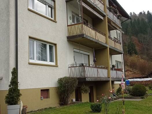 Mehrfamilienhaus zum Kauf provisionsfrei 600.000 € 18 Zimmer 430 m² 1.983 m² Grundstück Luftbad 1 Vordertodtmoos Todtmoos 79682