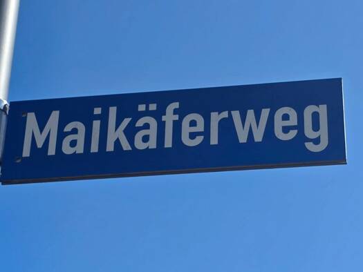 Reihenmittelhaus zum Kauf 449.000 € 5 Zimmer 133 m² 192 m² Grundstück frei ab 01.09.2026 Maikäferweg 10 Büschdorf Halle (Saale) 06116