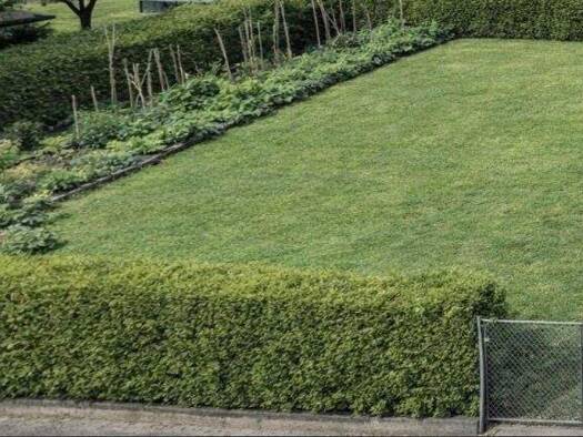 Grundstück zum Kauf 150.000 € 500 m² Grundstück Neuhofen im Innkreis 4912