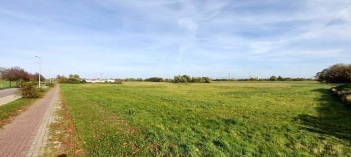 Grundstück zum Kauf provisionsfrei 20.000 m²<br/>Grundstück Groß Lüdershagen Wendorf 18442