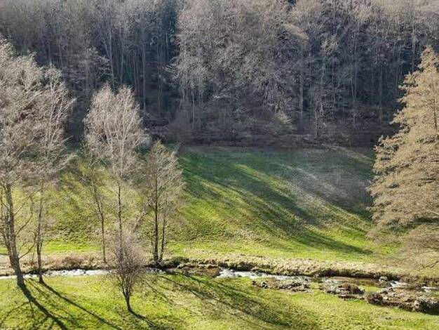 Wohnung zum Kauf 159.000 € 2,5 Zimmer 70 m² Bad Herrenalb 76332