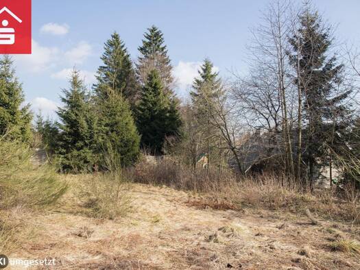 Grundstück zum Kauf 99.000 € 701 m² Grundstück Winterberg Winterberg 59955