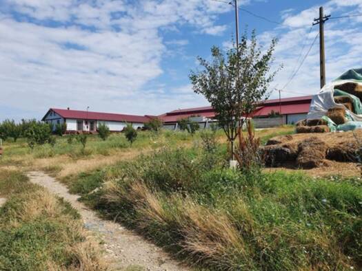 Einfamilienhaus zum Kauf 350.000 € 2 Zimmer 1 m² 1.000 m² Grundstück Vedea 147430