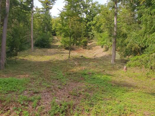 Freizeitgrundstück zum Kauf 48.000 € 2.360 m² Grundstück Kieselbronn 75249