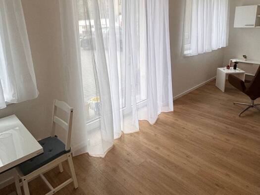 Terrassenwohnung zur Miete 555 € 1 Zimmer 30 m² Geschoss EG/1 frei ab sofort Riehlstraße 5 a Gärten b Wöhrd Nürnberg 90489
