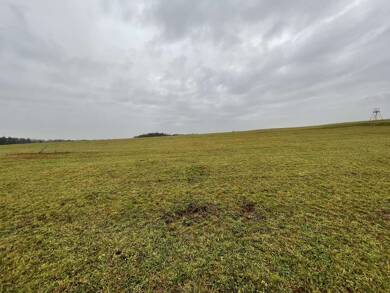 Grundstück zum Kauf 425.000 € 1.695 m² Grundstück Heroldsberg Heroldsberg 90562