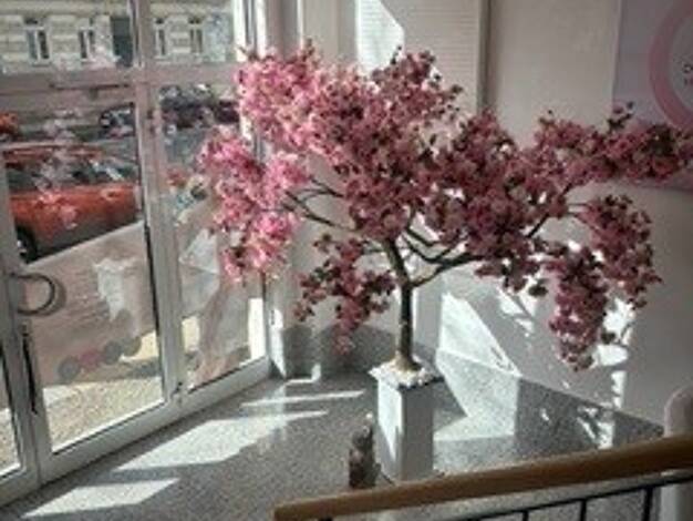 Laden zur Miete provisionsfrei 983 € 2 Zimmer 84,3 m² Verkaufsfläche Gohlis-Mitte Leipzig 04157