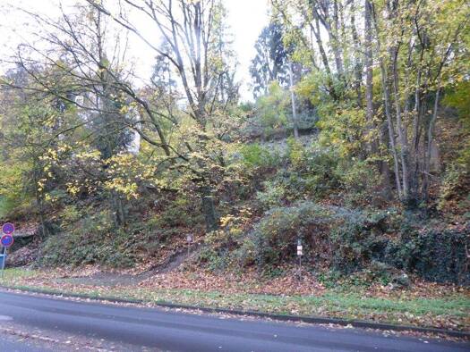 Grundstück zum Kauf 225.000 € 1.508 m² Grundstück Eppstein 65817