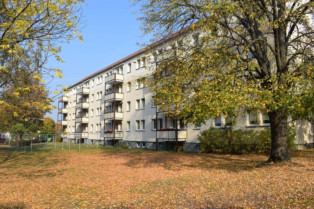 Studio zur Miete 260 € 2 Zimmer 45,2 m²<br/>Wohnfläche EG<br/>Geschoss Th.-Müntzer-Siedlung 40 Hainichen Hainichen 09661