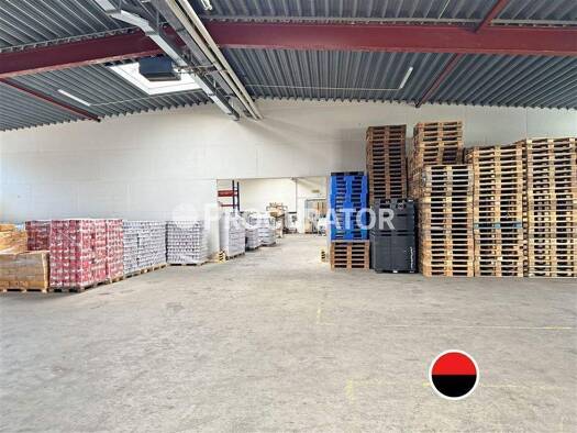 Lagerhalle zur Miete 5.698 m² Lagerfläche teilbar ab 400 m² Billbrook Hamburg 22113