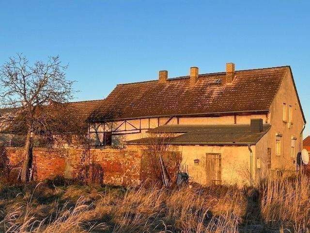 Immobilie in Zerbst/Anhalt - Stark sanierungsbedürftiges Haus auf 1.700 m² großen Grundstück im Zerbster / Ankuhn - Bild 2