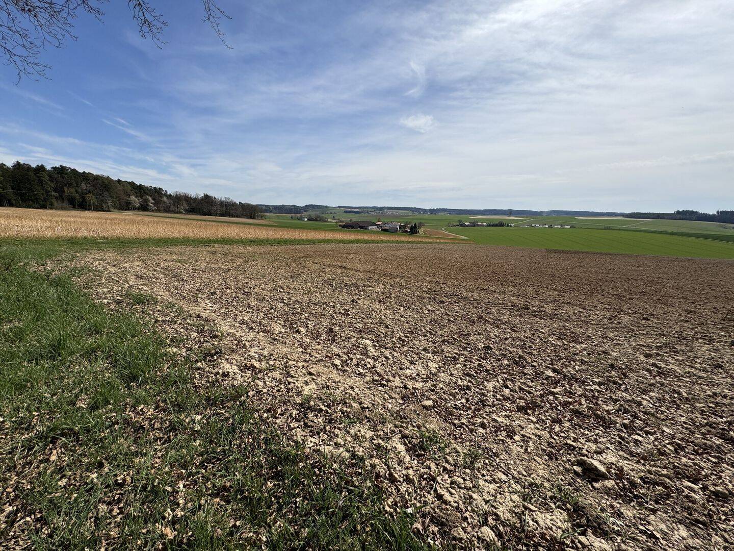 Land-/Forstwirtschaft zum Kauf - Ansicht 4