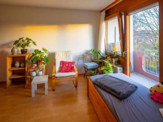 Wohnung zum Kauf 174.900 € 2 Zimmer 32 m² Stühlinger Freiburg im Breisgau 79106