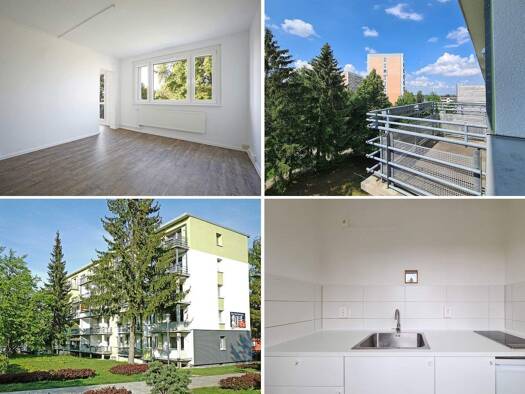 Wohnung zur Miete 196 € 1 Zimmer 27,6 m² 5. Geschoss frei ab sofort Tschaikowskistraße 14 Freiberg 09599