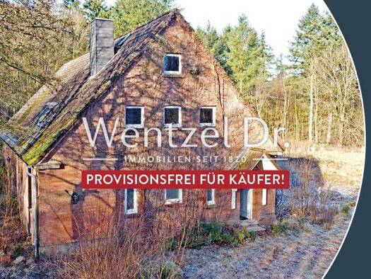 Einfamilienhaus zum Kauf provisionsfrei 10 Zimmer 338,8 m² 3.850 m² Grundstück Deinste 21717