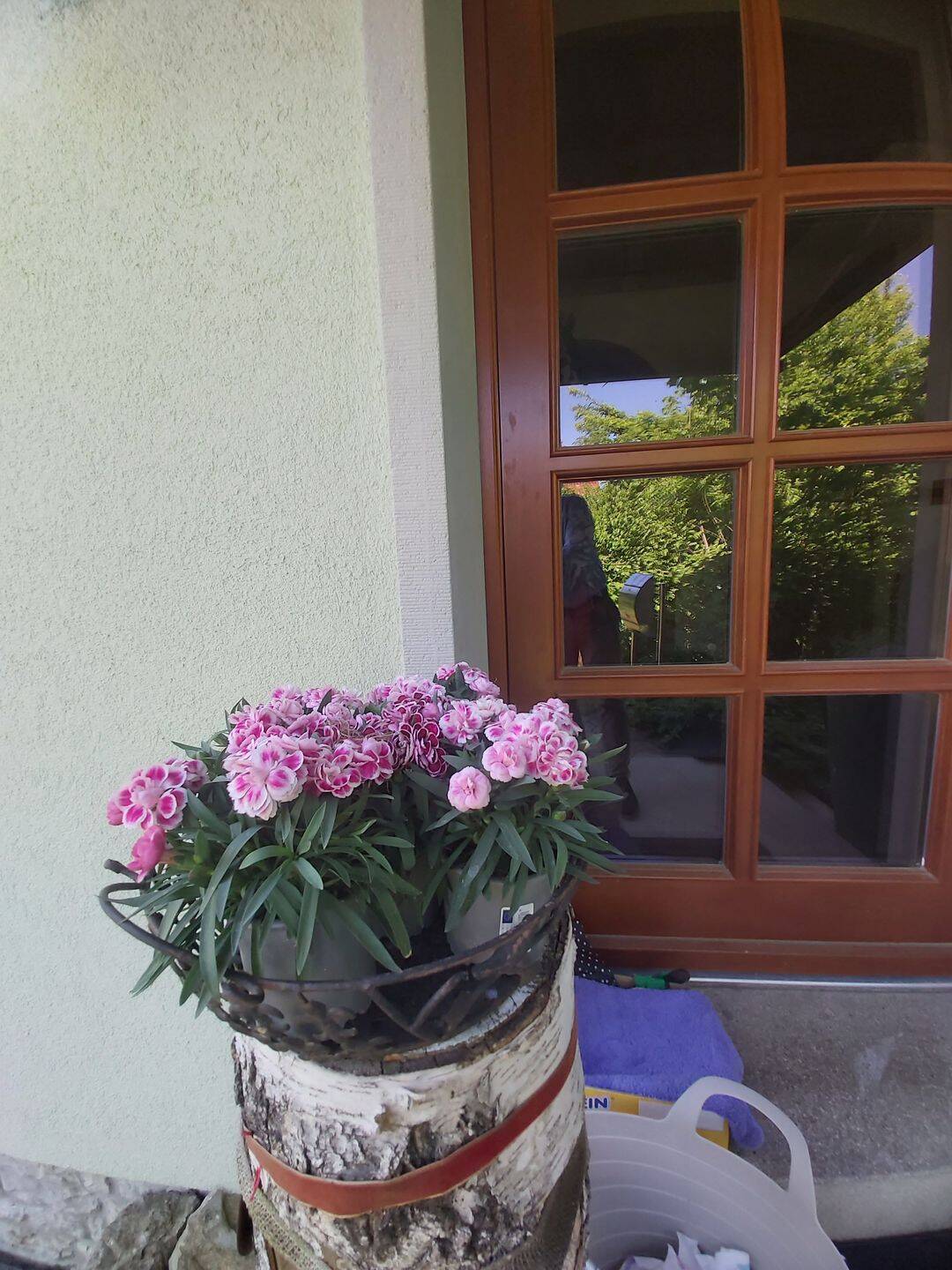 Mehrfamilienhaus zum Kauf - Ansicht 4