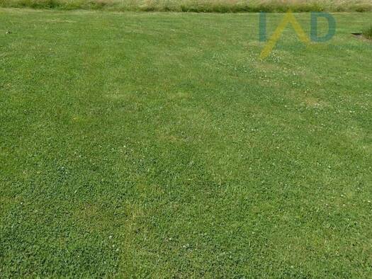 Grundstück zum Kauf 49.000 € 915 m² Grundstück Kroppach 57612