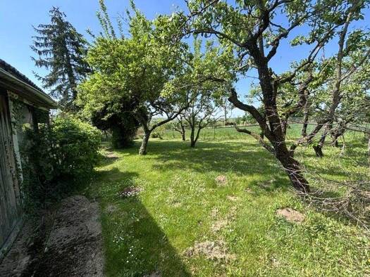 Einfamilienhaus zum Kauf 365.000 € 7 Zimmer 195 m² 1.476 m² Grundstück Stadelschwarzach Prichsenstadt / Stadelschwarzach 97357