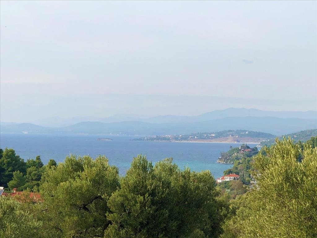 Land-/Forstwirtschaft zum Kauf 250.000 € 4.078 m²<br/>Grundstück Chalkidiki