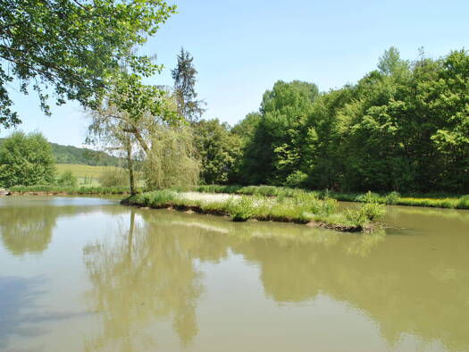 Land-/Forstwirtschaft zum Kauf 120.000 € 10.000 m² Centre Ville Lure 70200