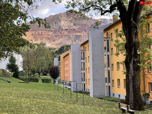 Wohnung zur Miete 320 € 3 Zimmer 69,3 m² 1. Geschoss Hans-von-der-Sann-Straße 51 Eisenerz 8790