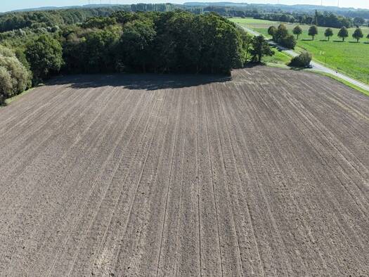 Land-/Forstwirtschaft zum Kauf 160.000 € 9.999 m² Grundstück Eggerode Schöppingen 48624