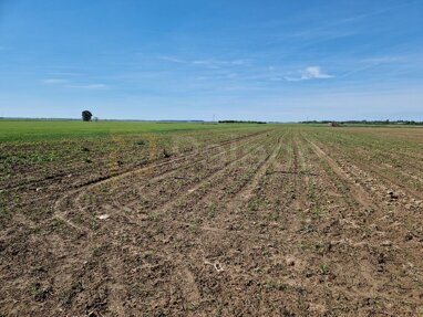 Land-/Forstwirtschaft zum Kauf 18.000 € Cepin center