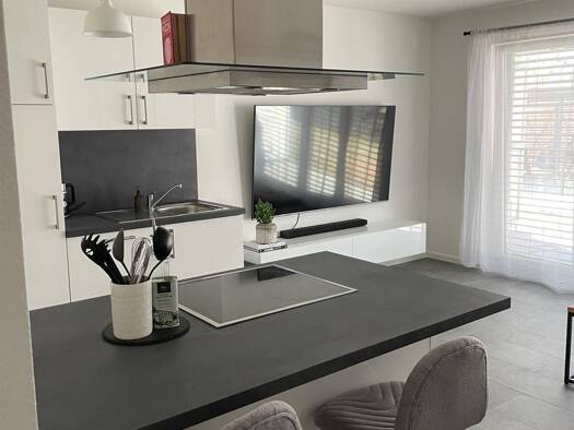 Terrassenwohnung zur Miete 980 € 2 Zimmer 56 m² Geschoss EG/4 frei ab 01.11.2026 Haltingen Weil am Rhein 79576