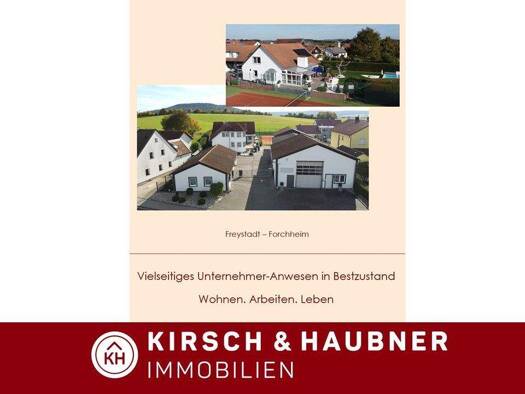 Haus zum Kauf 985.000 € 9 Zimmer 363 m² 2.850 m² Grundstück Forchheim Freystadt 92342