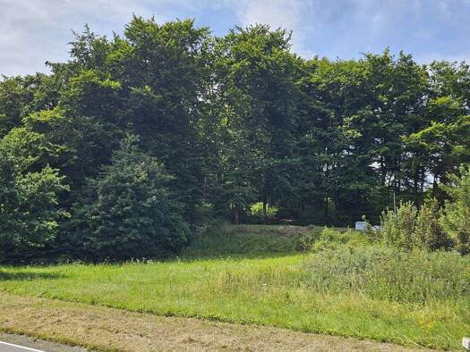 Grundstück zum Kauf 55.000 € 993 m² Grundstück Stahlhofen 56459