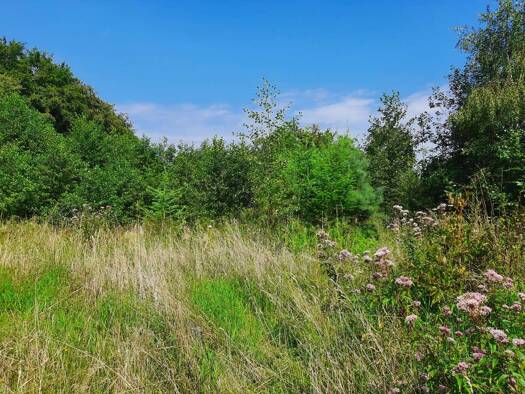 Grundstück zum Kauf 799.000 € 12.000 m² Grundstück Annen Witten 58453