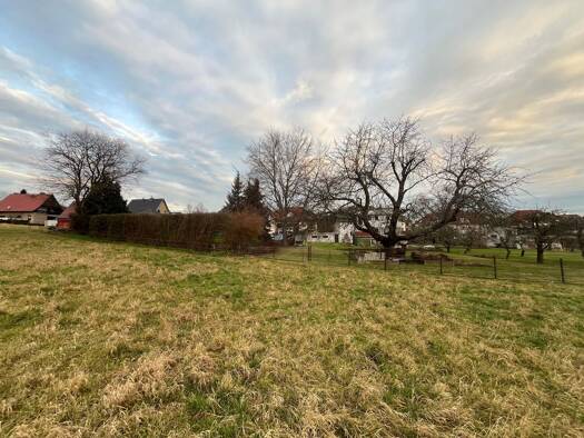 Grundstück zur Versteigerung provisionsfrei 642 m² Grundstück Briesnitz Ortsamtsbereich Cotta 01157