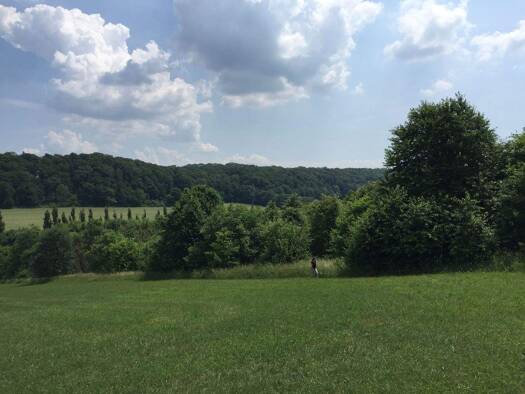 Forstwirtschaft zum Kauf 28.500 € 20.910 m² Grundstück Kleinberndten Sondershausen 99706