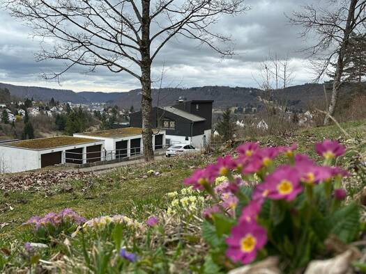 Wohnung zum Kauf provisionsfrei 319.000 € 5 Zimmer 134 m² Ebingen Albstadt 72458