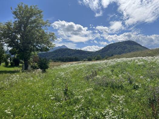Grundstück zum Kauf 2.120 m² Grundstück Rosegg 9232