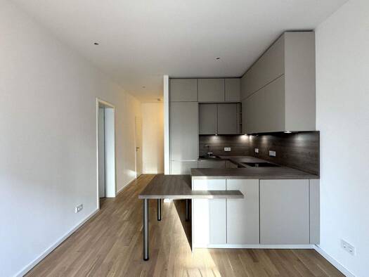 Wohnung zur Miete - Erstbezug 1.260 € 2 Zimmer 50,1 m² 2. Geschoss frei ab 01.01.2026 Am Albertussee 31 Heerdt Düsseldorf 40549