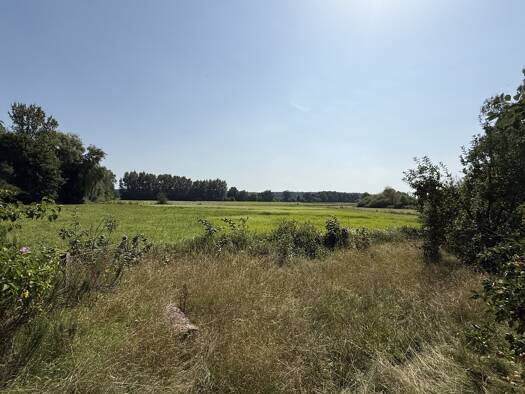 Mehrfamilienhaus zum Kauf 599.000 € 16 Zimmer 385 m² 1.253 m² Grundstück Eichen Nidderau 61130