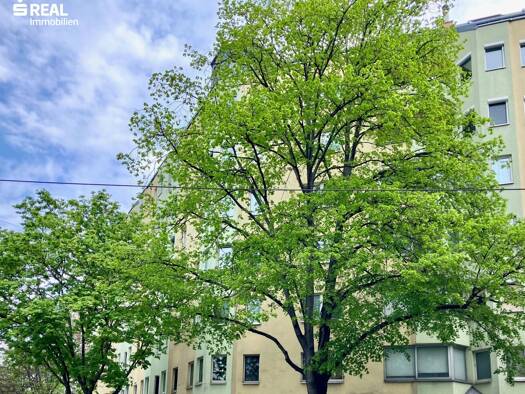 Wohnung zum Kauf 319.900 € 3 Zimmer 68,3 m² 1. Geschoss Brigittenau 1200