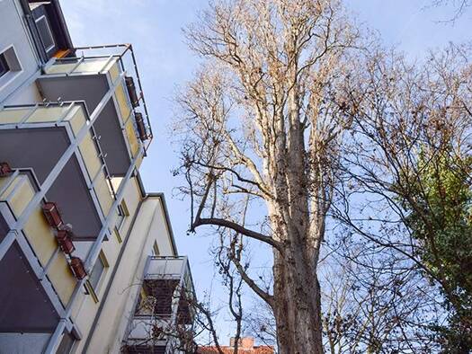 Mehrfamilienhaus zum Kauf als Kapitalanlage geeignet 1.990.000 € 890 m² 400 m² Grundstück Vahrenwald Hannover 30161