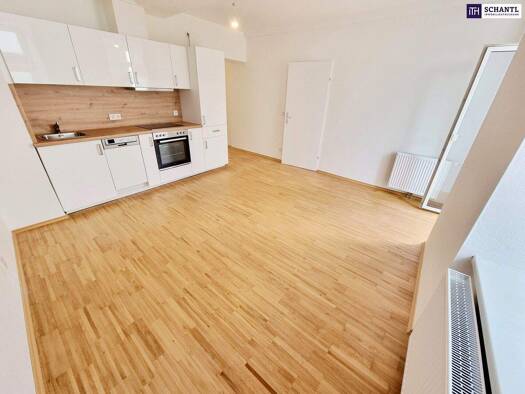 Wohnung zum Kauf 329.000 € 3 Zimmer 53,2 m² EG Bergsteiggasse Wien 1170