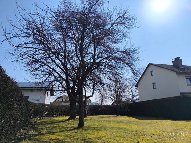 Grundstück zum Kauf 120.000 € 560 m² Grundstück frei ab sofort Regen Regen 94209