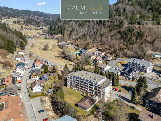 Studio zum Kauf 87.000 € 1 Zimmer 46,5 m² 2. Geschoss Vordertodtmoos Todtmoos 79682