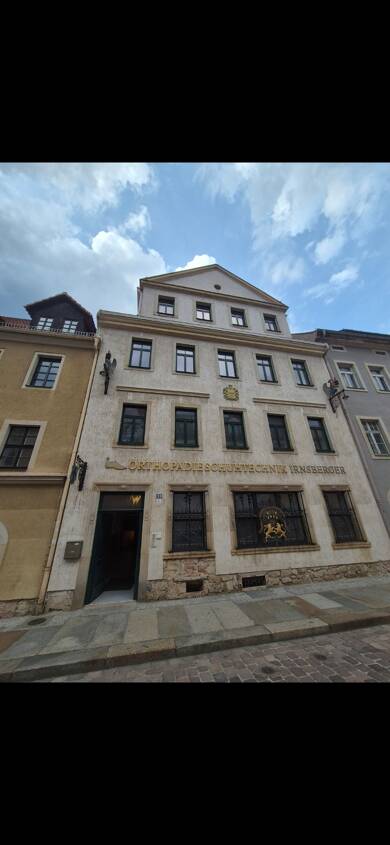 Verkaufsfläche zur Miete provisionsfrei 9,90 € 500 m² Verkaufsfläche teilbar von 3 m² bis 500 m² Lange Straße 12 Pirna Pirna 01796
