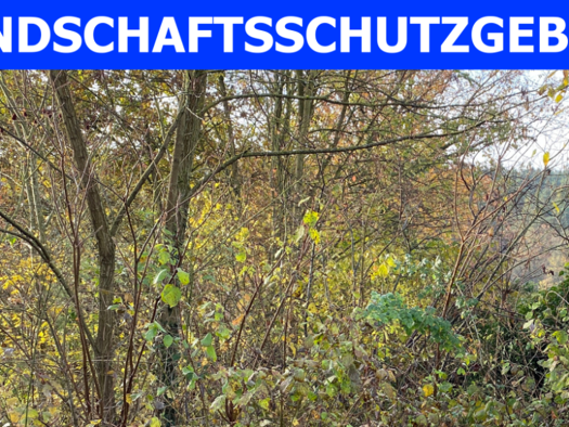 Grundstück zum Kauf 232.500 € 3.099 m² Grundstück Oberfürberg Fürth 90768