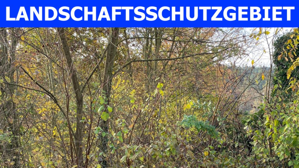 Grundstück zum Kauf 232.500 € 3.099 m² Grundstück Oberfürberg Fürth 90768