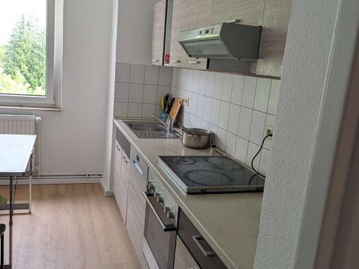 Wohnung zur Miete 408 € 2 Zimmer 51 m² 2. Geschoss Neukirchen Borna 04552