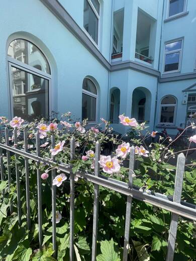 Wohnung zur Miete 850 € 2 Zimmer 70 m² EG Wilhelmshavener Straße 3 Blücherplatz Kiel 24105